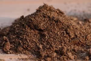Particulate